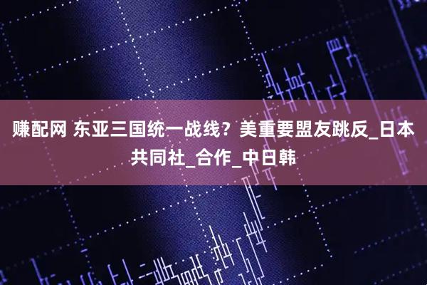 赚配网 东亚三国统一战线？美重要盟友跳反_日本共同社_合作_中日韩